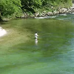 And Cerkovnik Πανσιόν