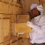 And Cerkovnik Bohinji-tó