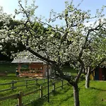 And Cerkovnik Bohinj