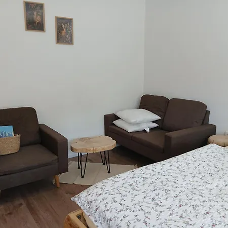بيت ضيافة And Cerkovnik 2*