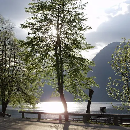 Pensión And Cerkovnik Bohinj