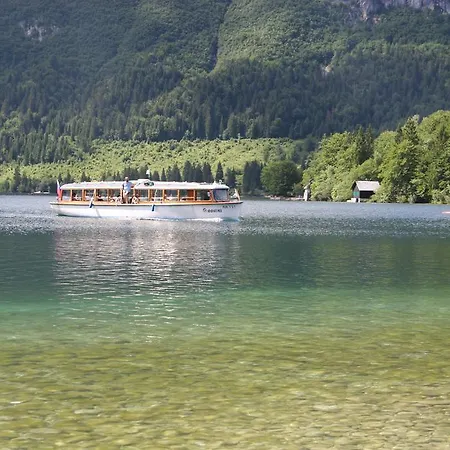 And Cerkovnik Pensión 2*