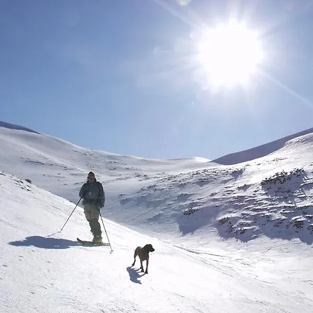 Πανσιόν And Cerkovnik