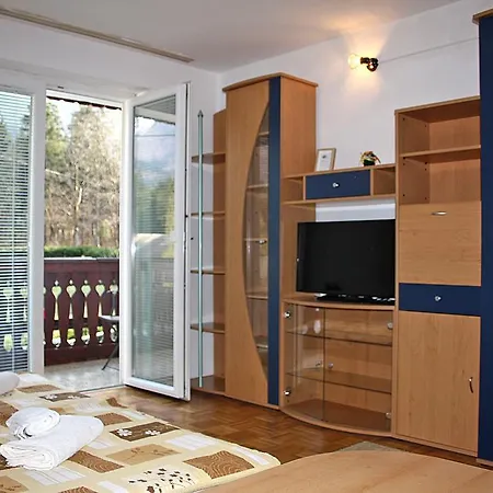 And Cerkovnik Πανσιόν Bohinj