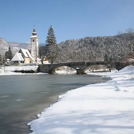 بيت ضيافة And Cerkovnik 2*