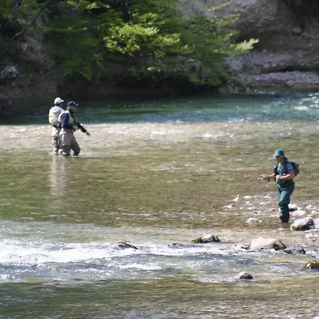 Hiša za goste And Cerkovnik Bohinj