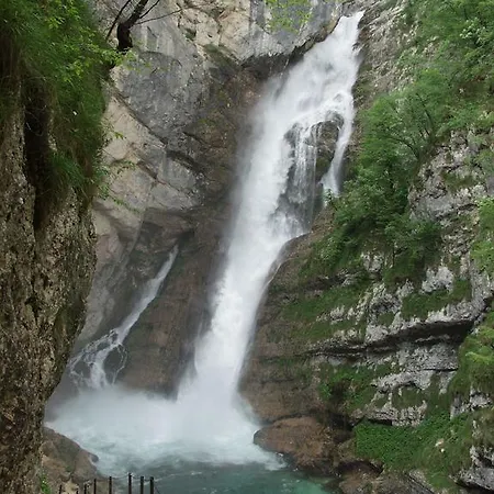 And Cerkovnik بوينج