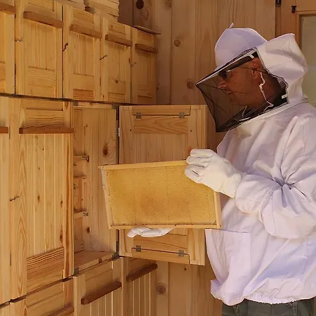 And Cerkovnik Bohinj