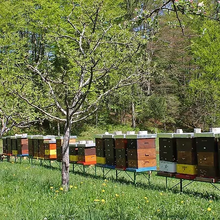 And Cerkovnik Πανσιόν