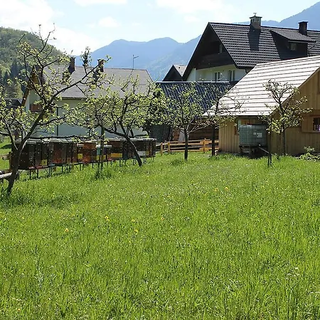 And Cerkovnik 2*