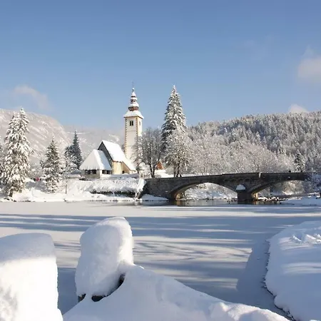 And Cerkovnik Pensión Bohinj