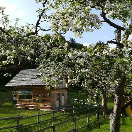 And Cerkovnik Pensión Bohinj