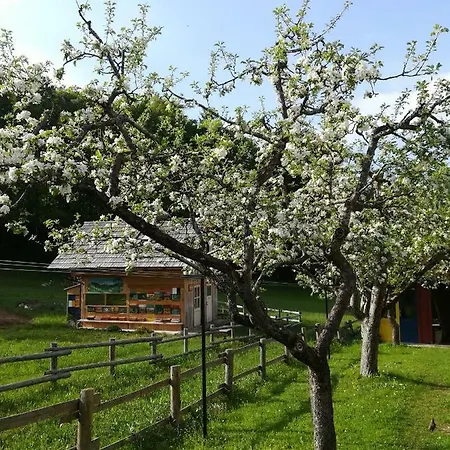 And Cerkovnik Bohinj