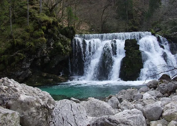 And Cerkovnik בית הארחה 2*