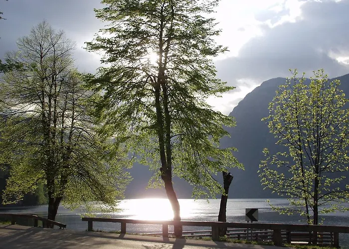 בית הארחה And Cerkovnik בוהין