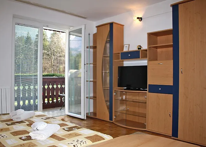 And Cerkovnik Πανσιόν Bohinj