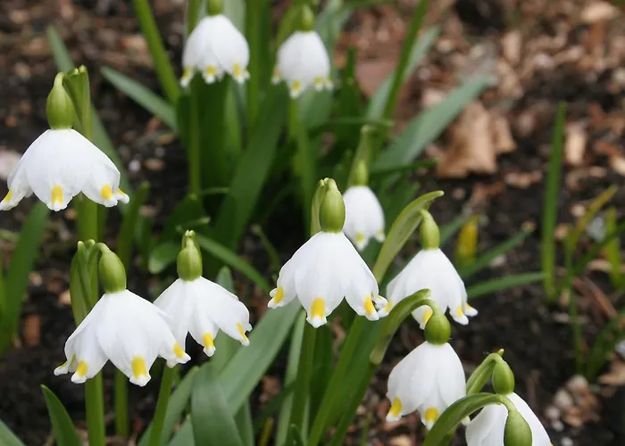 And Cerkovnik 2* Bohinj