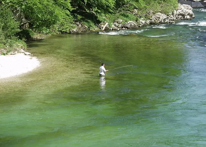 And Cerkovnik בית הארחה