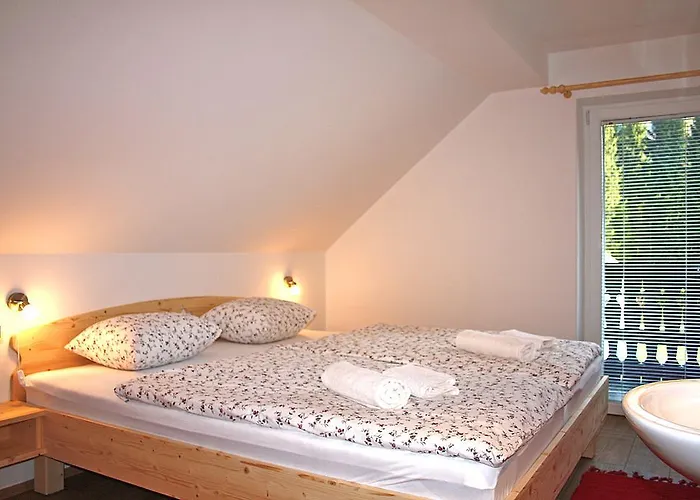 And Cerkovnik בית הארחה בוהין