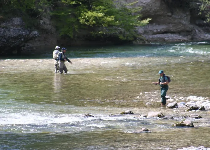 בית הארחה And Cerkovnik בוהין