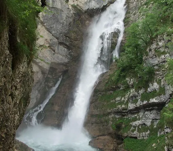 And Cerkovnik בוהין