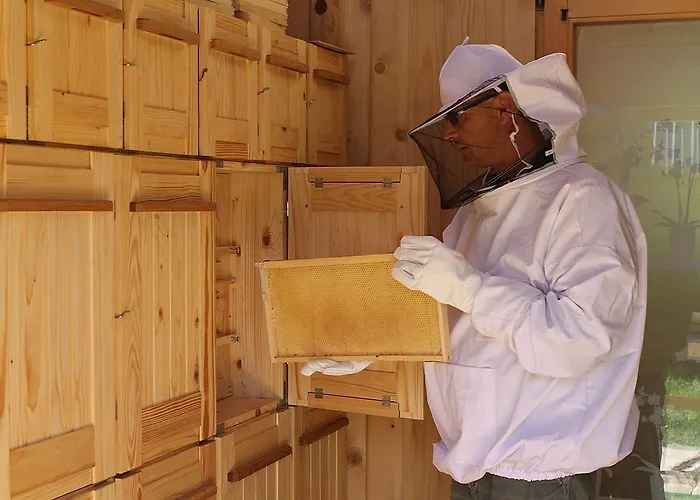 And Cerkovnik בוהין