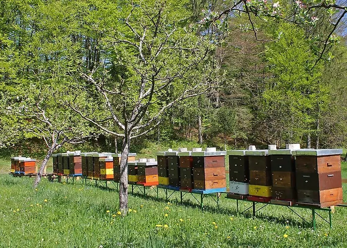 And Cerkovnik בית הארחה