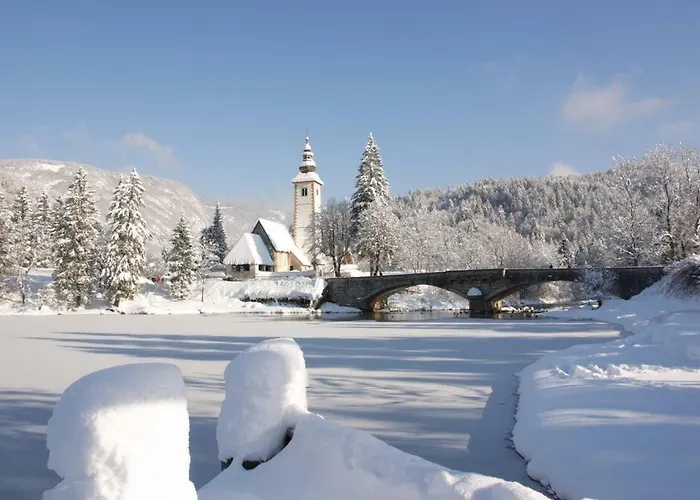 And Cerkovnik בית הארחה בוהין