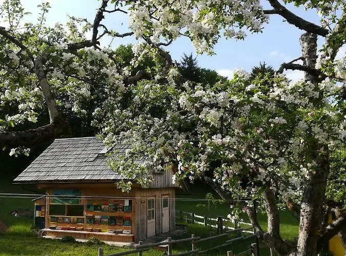 And Cerkovnik בית הארחה בוהין