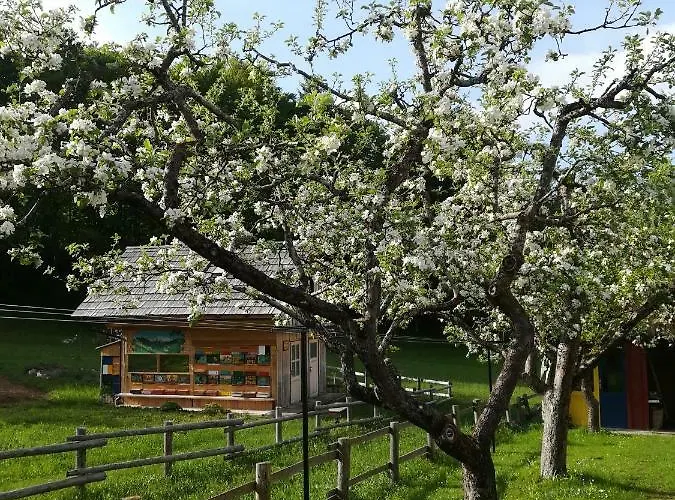 And Cerkovnik בוהין